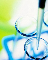 Laboratorios y Gabinete